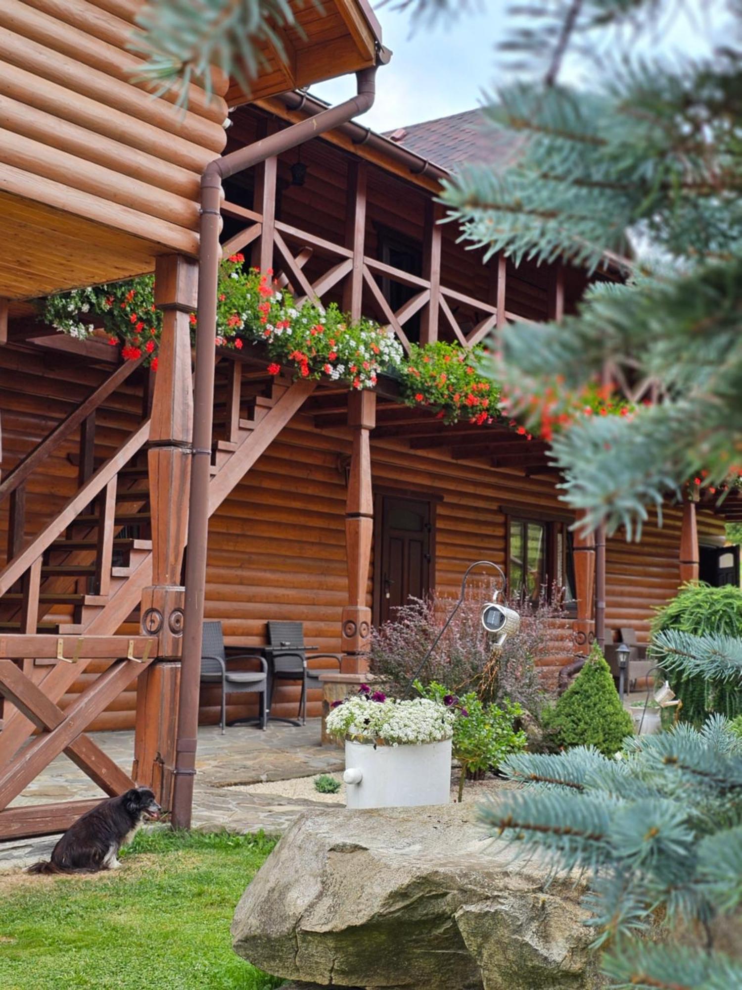 Guesthouse Kolo Druziv Tatariv Εξωτερικό φωτογραφία
